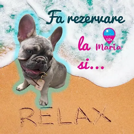 By Maria Pensionat *